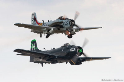 dux29.jpg