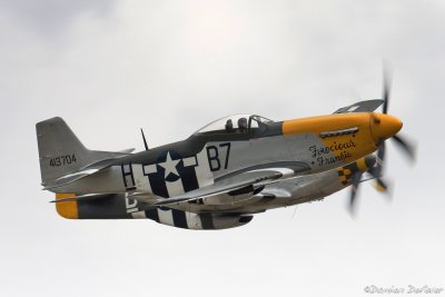 dux33.jpg