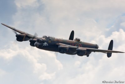 dux36.jpg