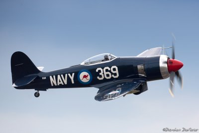 dux38.jpg