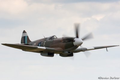 dux44.jpg