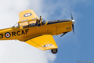 fio16.jpg