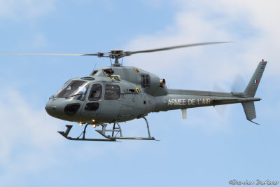 avd08.jpg
