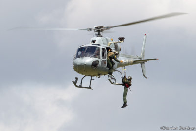 avd09.jpg