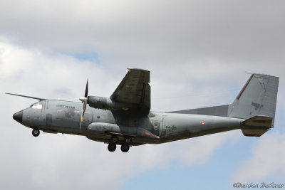 avd11.jpg