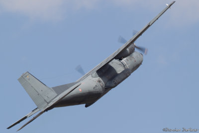 avd13.jpg