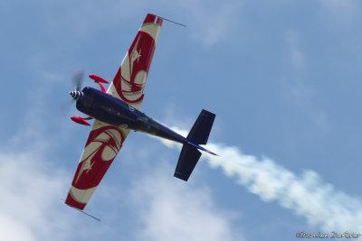 avd15.jpg