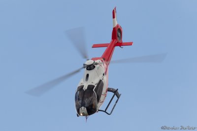 avd18.jpg