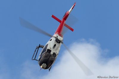 avd20.jpg