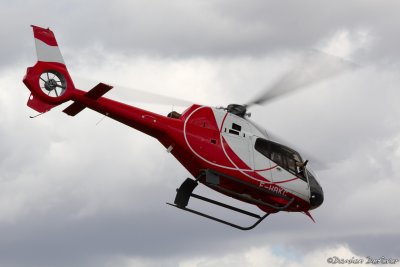 avd22.jpg