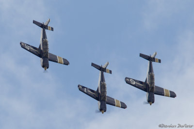 avd29.jpg