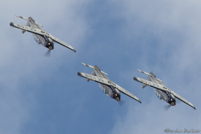 avd30.jpg