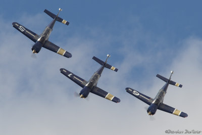 avd31.jpg