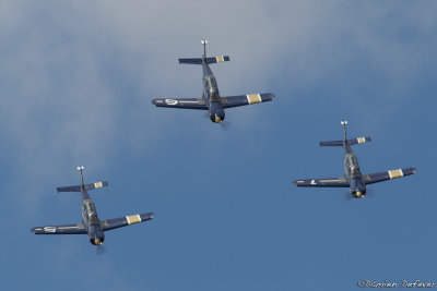 avd32.jpg