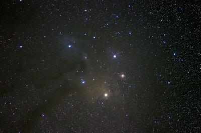 Antares & Rho Oph.jpg