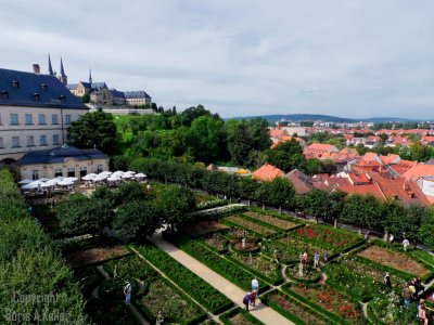 The Rose Garden