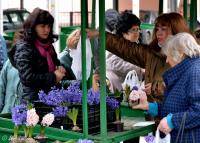 Market scene in Lovech