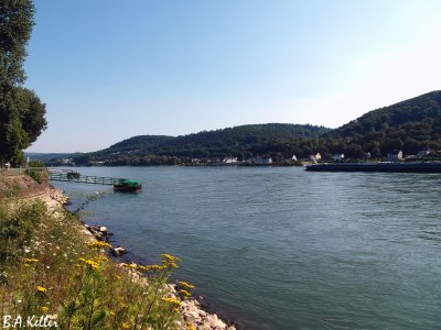 ...along the Rhine River