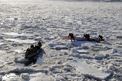 _DSC1853.jpg