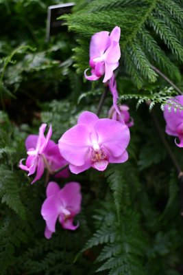 IMG_2908.jpg
