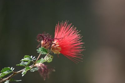 IMG_2997.jpg