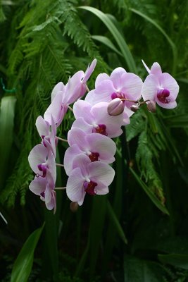 IMG_3003.jpg