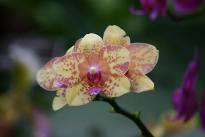 IMG_3008.jpg