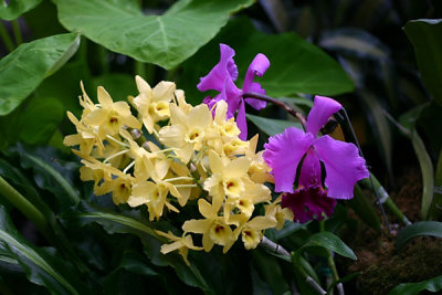 IMG_2900.jpg