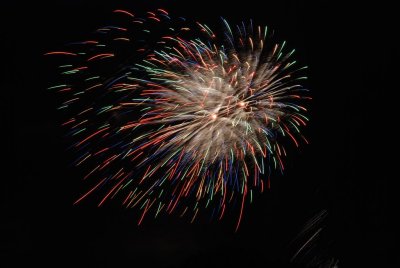 DSC_9875 (Large).JPG