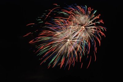 DSC_9876 (Large).JPG