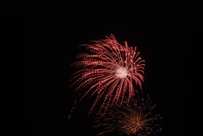 DSC_9895 (Large).JPG