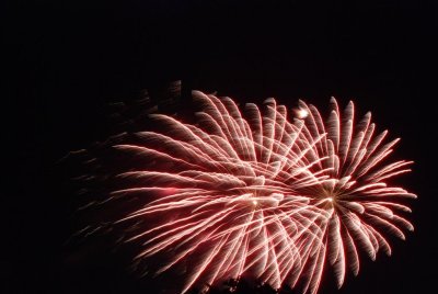 DSC_9933 (Large).JPG