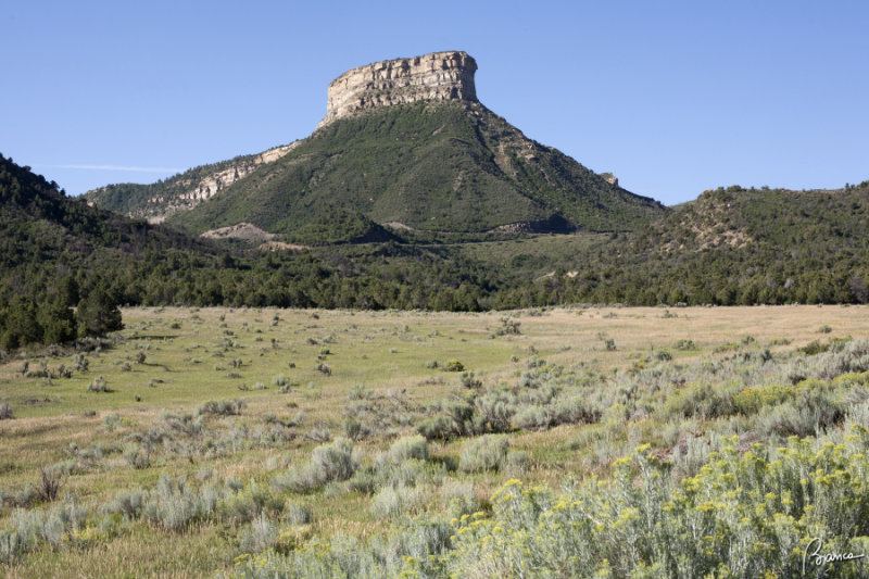 Mesa verde