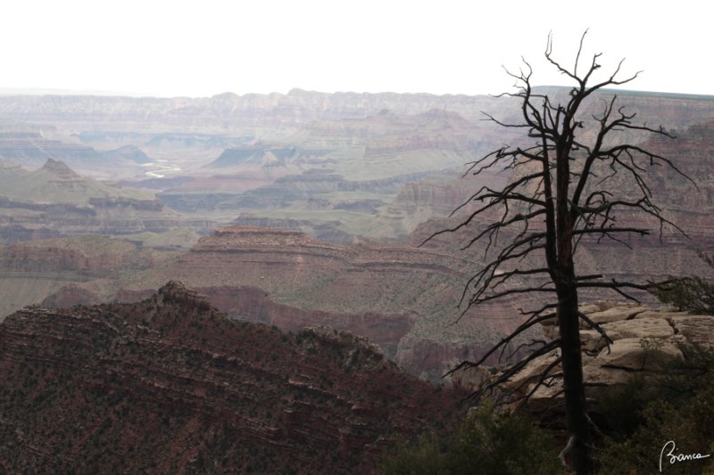 Grand Canyon