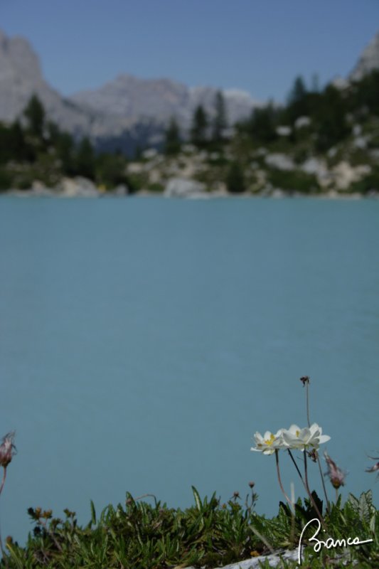 Laghetto Sorapis