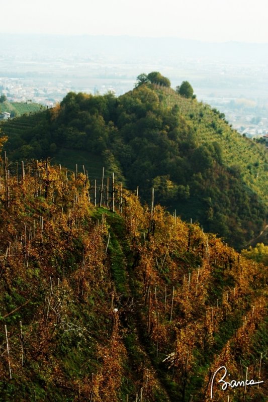 San Vigilio