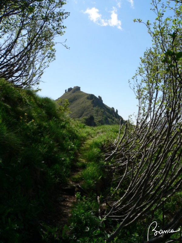Passo Fedaia