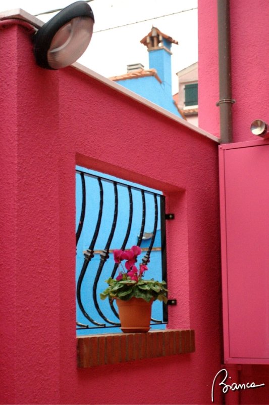 Colours of Burano