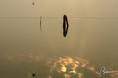 Reflection of Lagoon