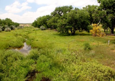 Beechers Island