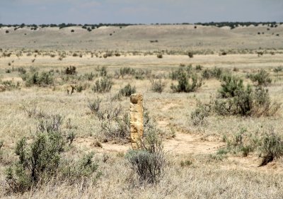 Comanche Grassland:  Marker For Santa Fe Trail