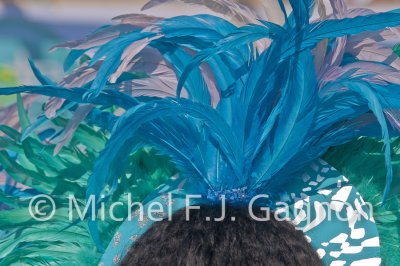 Caribbean Carnival 2011 - Toronto