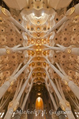 La Sagrada Familia: le plafond spendide