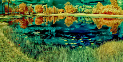 Colorful Pond p.jpg