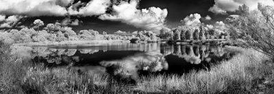 Clouds and Reflections in Infrared Pond redone OK.jpg