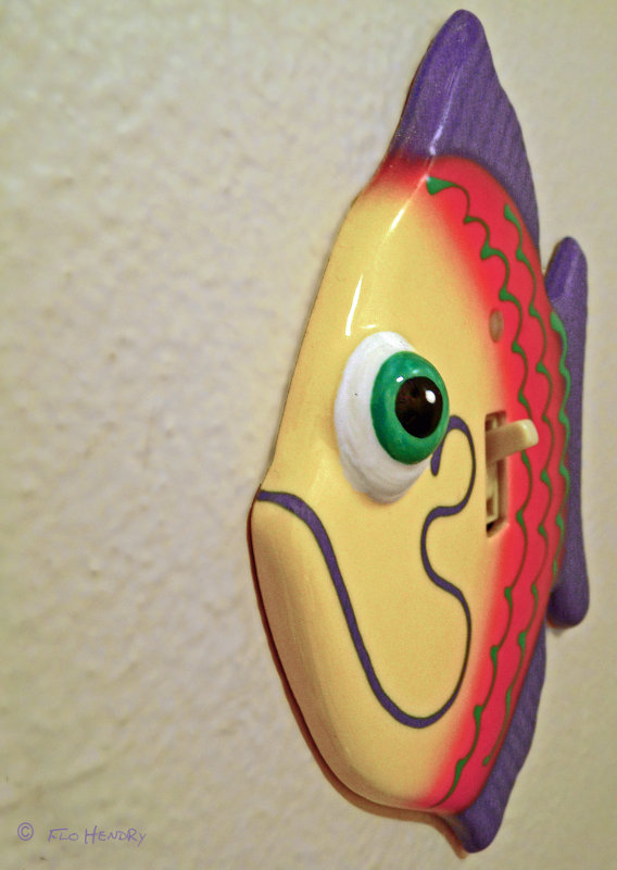 Fish Light Switch plate