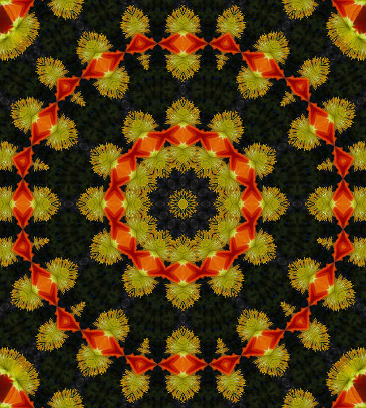 Kaleidoscope: Mex Poppy # 2