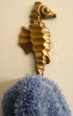 brass seahorse hook guest bath_0056_edited-1.jpg