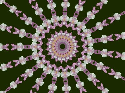 Kaleidoscope: Flower Power