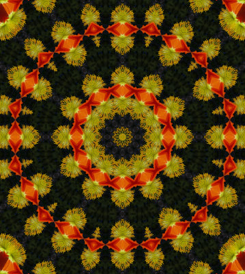 Kaleidoscope: Mex Poppy # 2